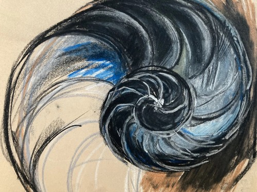 Molto bello disegno - molto,