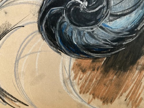 Molto bello disegno 1960 - bello,